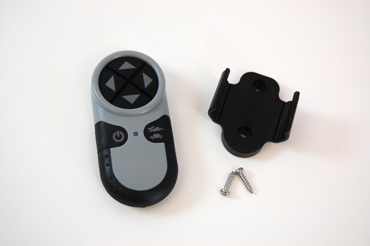 Remote Holster